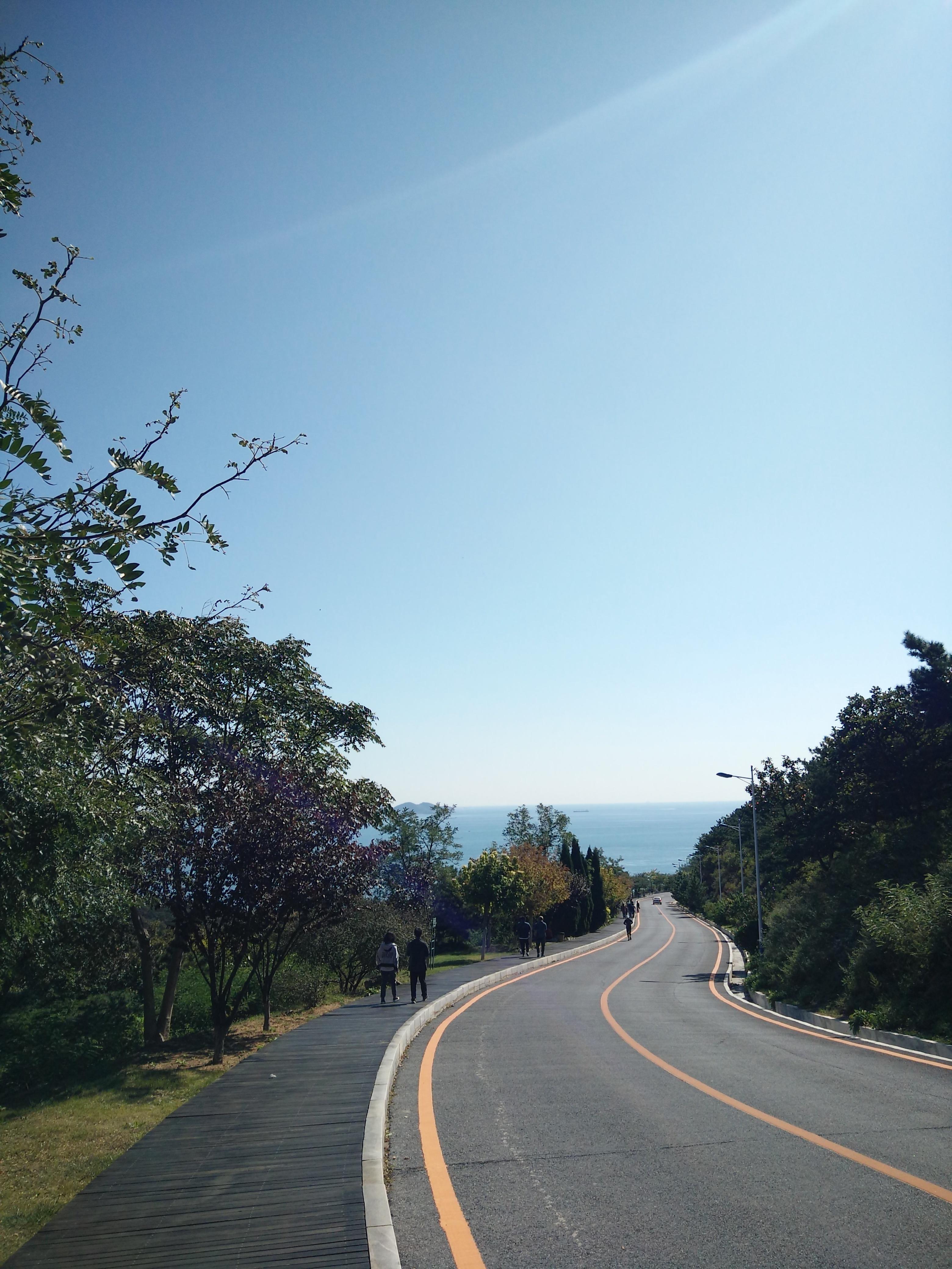 大连,魅力四溢的海滨明珠之城